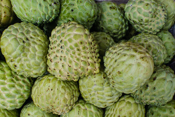 custard apple, Sugar apples or Annona squamosa Linn