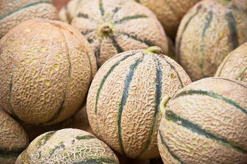 Ripe fresh melons pile in a market