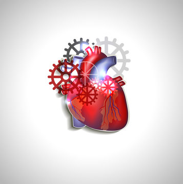 Heart with gears, human heart anatomy