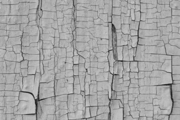 Texture of the old cracked paint