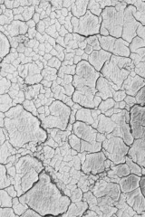 Texture of the old cracked paint