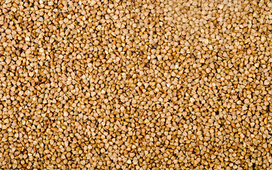 background from buckwheat