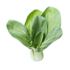 Bok choy (chinese cabbage) isolated on white background