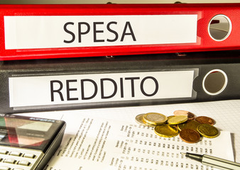 Spesa Reddito (contabilità, impresa)