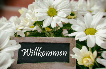 Willkommen