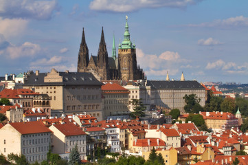 Obraz premium St. Vitus Cathedral