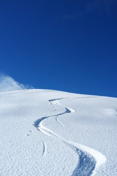 Trail of skis in the snow on a beautiful day