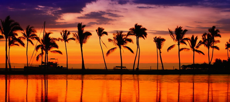 Travel banner - Beach paradise sunset palm trees