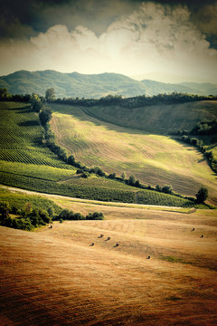 Vintage view of after harvest fields, Toscany, Italy