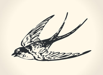 Vintage illustration of swallow