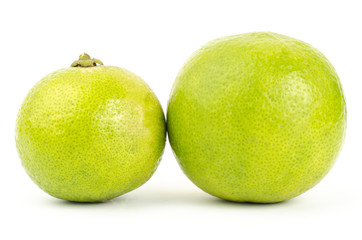 Lime