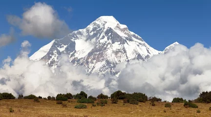 Foto op Plexiglas Dhaulagiri View of mount Dhaulagiri - Nepal