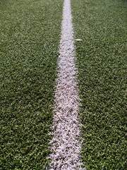 Soccer field grass on the green