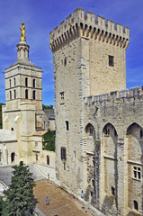 Fototapeta na wymiar Avignone, il Palazzo dei Papi e Notre Dame des Domes