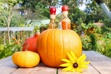 Pumpkins on wooden table in the garden