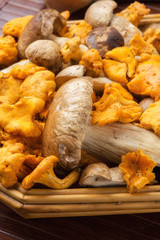 Funghi porcini e finferli in un cestino su un tavolo