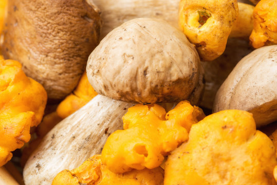 Funghi porcini e finferli in un cestino su un tavolo