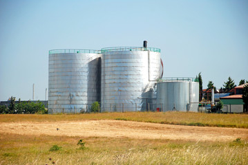 Obraz premium Wheat field and countryside scenery