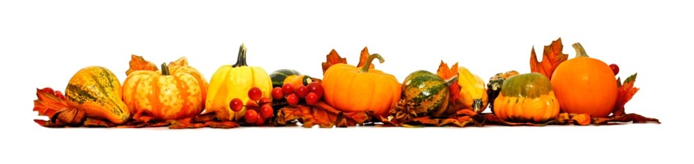 Border of autumn leaves, pumpkins and vegetables over white
