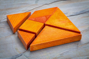 seven tangram  puzzle pieces