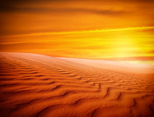 Naklejka na ściany i meble Sand dunes at sunset in the Sahara Desert