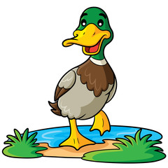 Duck Cartoon