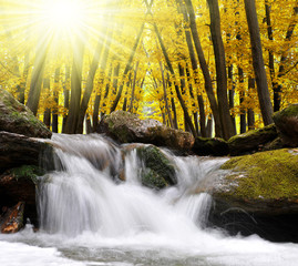 Autumnal forest with waterfall in Czech Republic