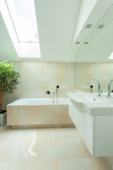 Modern bathroom with roof window
