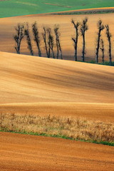 Krajobraz wiejski, Jesień © janmiko