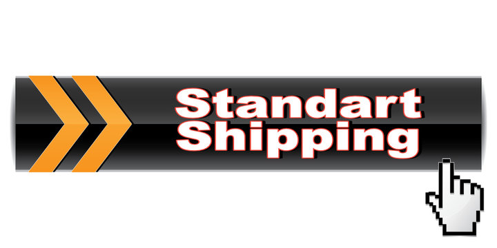 STANDART SHIPPING ICON