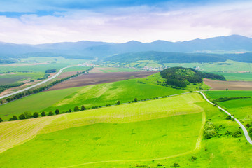 Wheat fields panorama