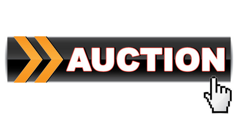 AUCTION ICON