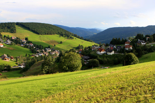Black forest, Germany
