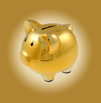 petit-cochon-images-browse-231-stock-photos-vectors-and-video