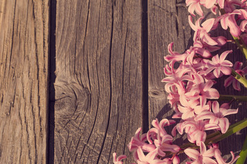 beautiful spring flowers on wooden background