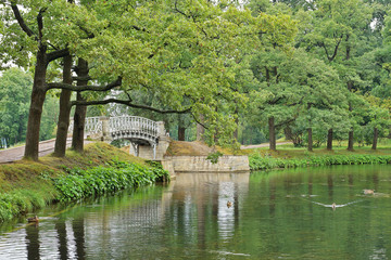 Landscape with old bridge over water in the park