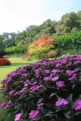 Blühende Garten- und Parklandschaft