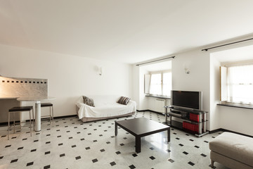 Nice apartment, interior