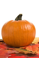 Autumn Pumpkin With Leaves Vertical Shot