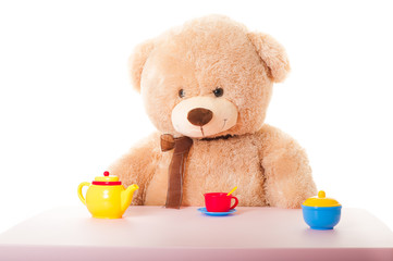 teddy mit puppengeschirr