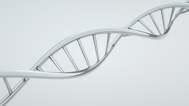 DNA