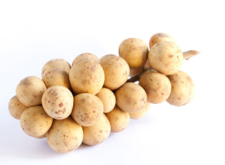 Wollongong on white background.