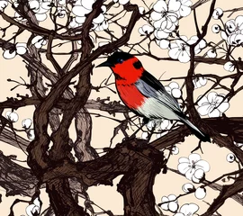 Poster Little imaginary red bird in a sakura © Isaxar