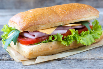 Single panini sandwich