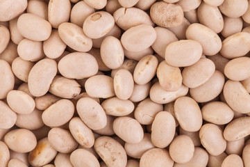 Texture of Beige Beans