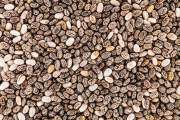 Extreme Closeup Texture of Chia Seeds - Studio Shot
