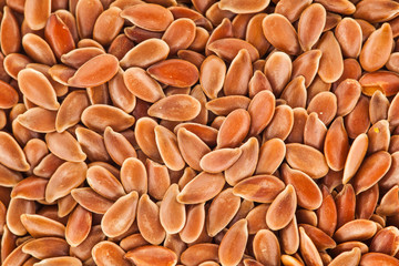 Lin seeds macro