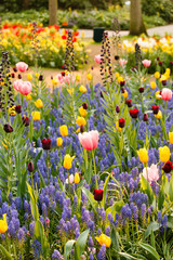 Panele Szklane Podświetlane  wiosenny ogród