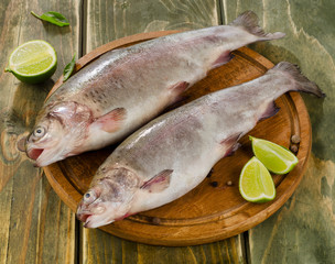 Two rainbow trouts