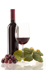 Rotwein im Glas mit Frucht, Blätter und Weinflasche